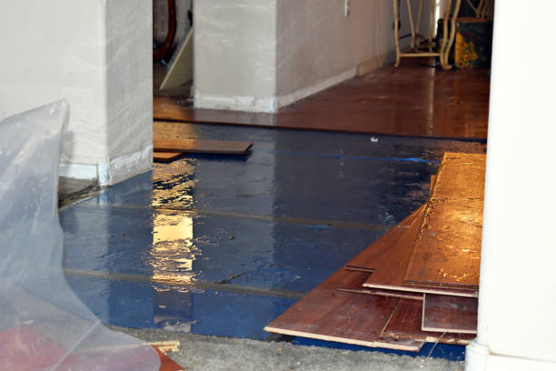 Professional Water Damage Restoration technician working in Collinwood, TN